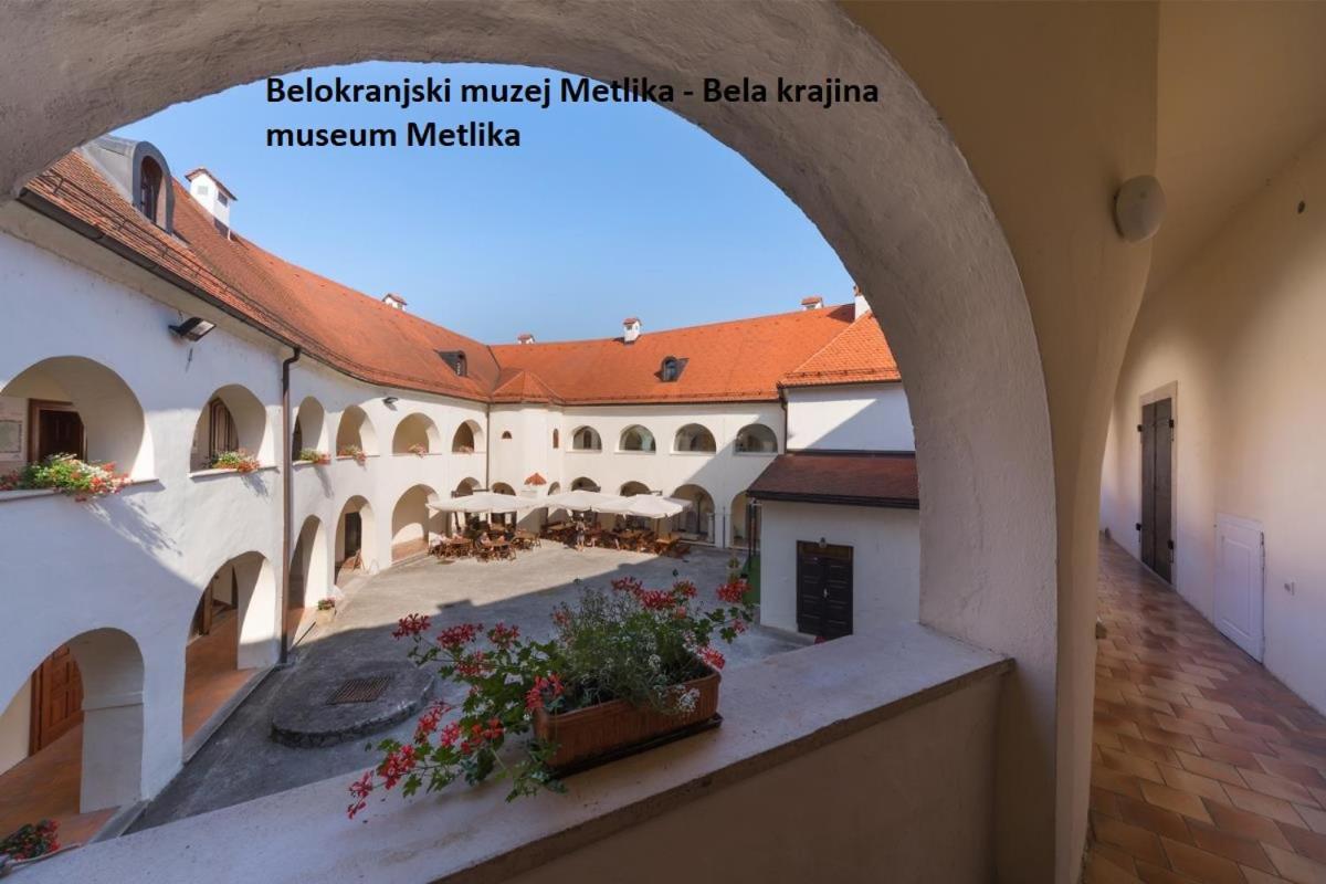Apartment Ma&Ja With Hot Tub Metlika Exteriér fotografie